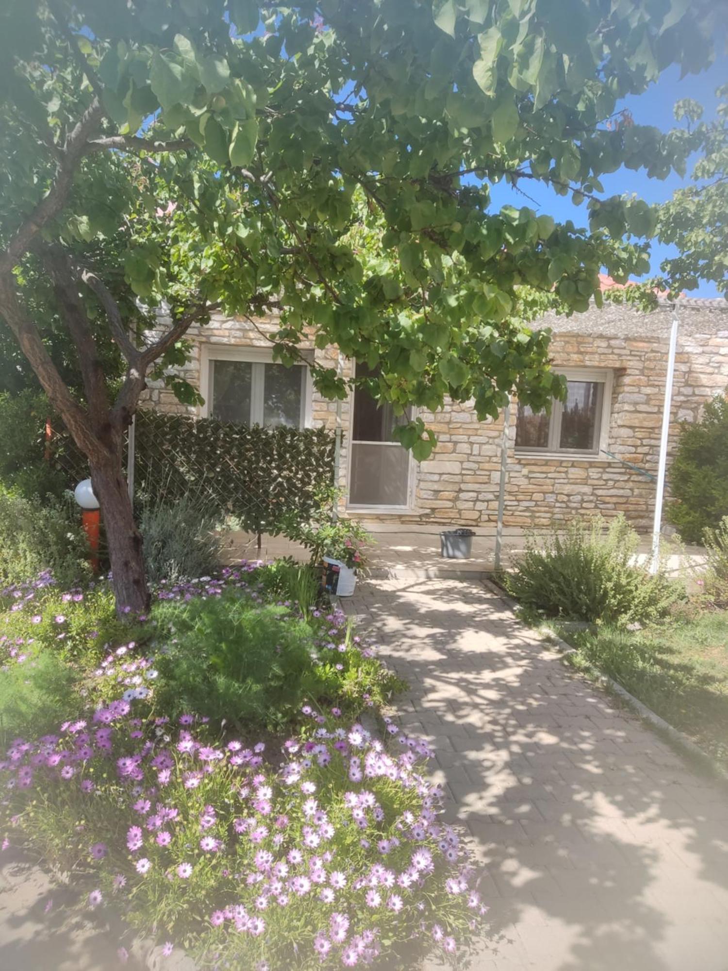 Petra Houses Potos Exterior photo